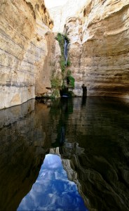 Ein_Avdat3