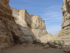 Negev_Clyde10