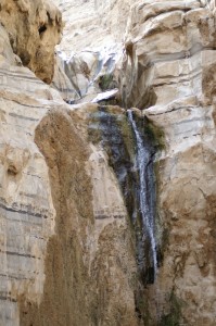 Negev_Clyde109