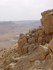Negev_Clyde11