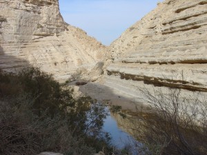 Negev_Clyde12