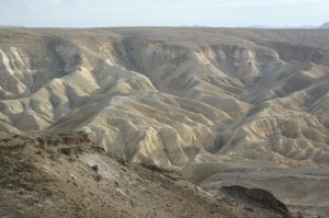 Negev_Clyde129