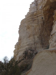 Negev_Clyde13