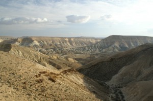 Negev_Clyde139