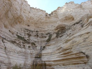Negev_Clyde14