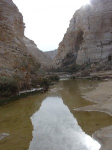 Negev_Clyde16