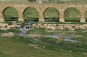 Negev_Clyde179