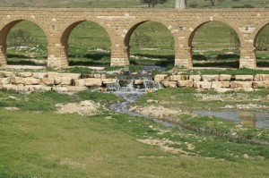 Negev_Clyde182