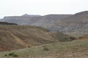 Negev_Clyde189