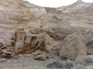 Negev_Clyde19