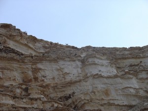 Negev_Clyde21