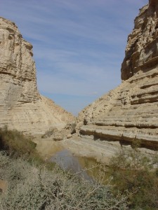 Negev_Clyde2