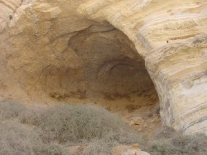 Negev_Clyde3