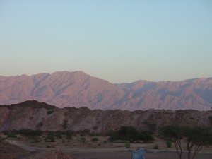 Negev_Clyde39