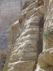 Negev_Clyde5