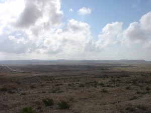 Negev_Clyde59