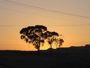 Negev_Clyde69
