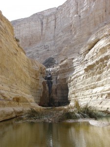 Negev_Clyde7