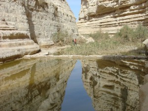Negev_Clyde8