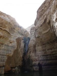 Negev_Clyde9