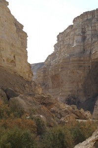 Negev_Clyde99