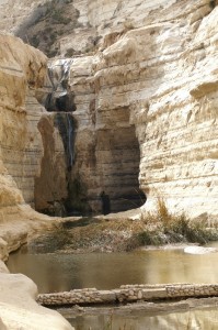 Pools in Negev10