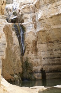 Pools in Negev6