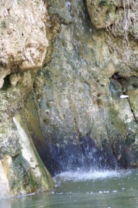 Pools in Negev9