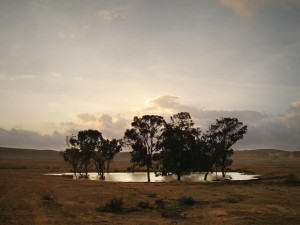 DSC02142a
