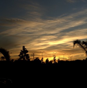 _DSC3732.NEF