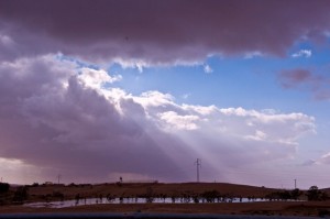 _DSC7251
