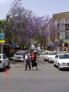 Downtown Jackaronda - 13May05