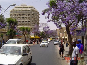Downtown in Bloom - 13May05