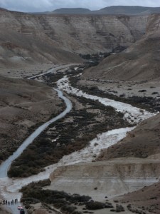 IMG_0650