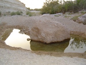 Nachal Tzin - April 2004 012