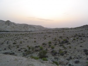 Nahal Tzin - April 2004 006