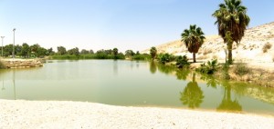 Oasis_panorama