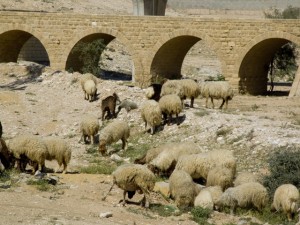 old bridge 1