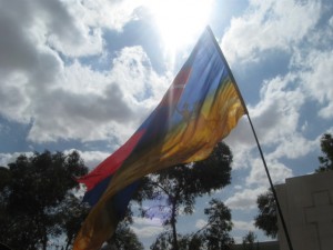 ANZAC Flag - NZ