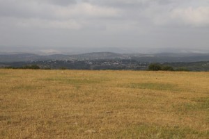 Field-HurvatTzurba