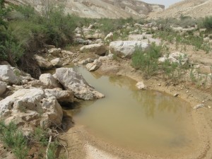 Pool of Water-May2011