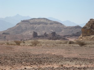Hills of Copper