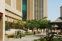 City of the Fathers