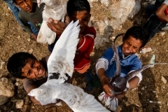 Bedouin