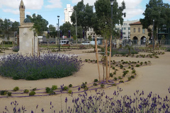 Beer Sheva – Capital of the Negev