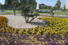 Beer Sheva – Capital of the Negev