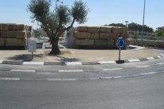 Beer Sheva – Capital of the Negev