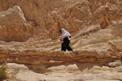 Ein-Avdat-Solitary-June-2012