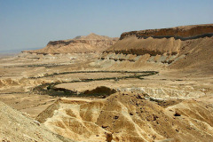 Negev Galore