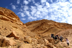 Negev Galore